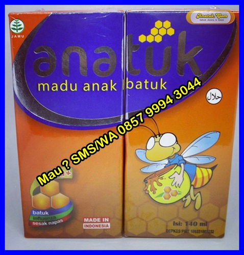  Obat Batuk Herbal Anak 3 Tahun Obat Batuk Tradisional 